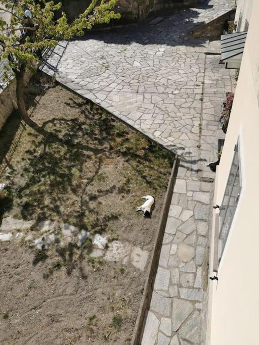 Da Mama Rose! Apartment Bussoleno Exterior photo